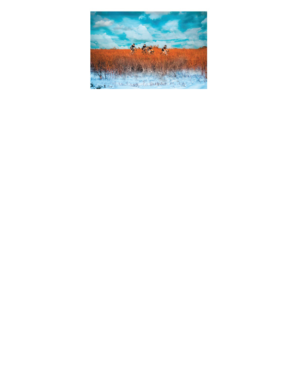 Seasonal Catalog