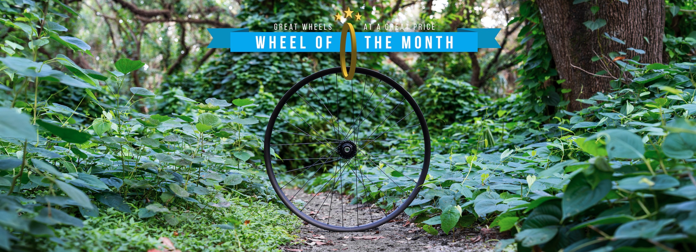 2026-07-wheel.jpg